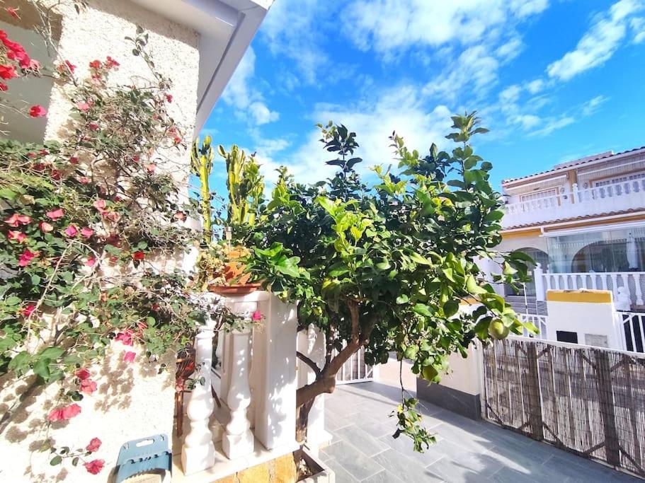 Rincon Mediterraneo Gran Alacant Zewnętrze zdjęcie
